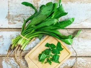 Bà Bầu Ăn Ngò Gai Được Không? Lợi Ích & Cách Dùng An Toàn
