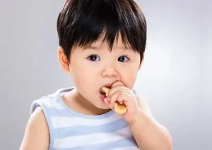 Top 7 Bánh Gạo Cho Bé 1 Tuổi: Đánh Giá Chi Tiết Và Lời Khuyên
