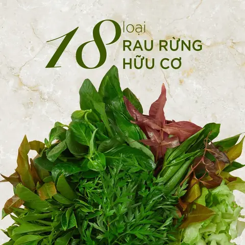 Bánh Tráng Cuốn Tây Ninh: Bí Quyết Chế Biến & Hương Vị Đặc Trưng