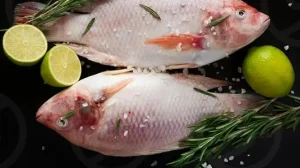 Bầu Ăn Cá Diêu Hồng Được Không? Lợi Ích & Hướng Dẫn An Toàn