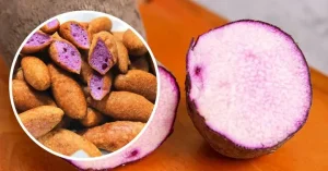 Bé Mấy Tháng Ăn Được Khoai Mỡ