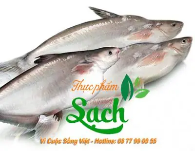 Giá Cá Hú Bao Nhiêu 1kg? Cẩm Nang Mua Cá Tươi Ngon Từ A Đến Z