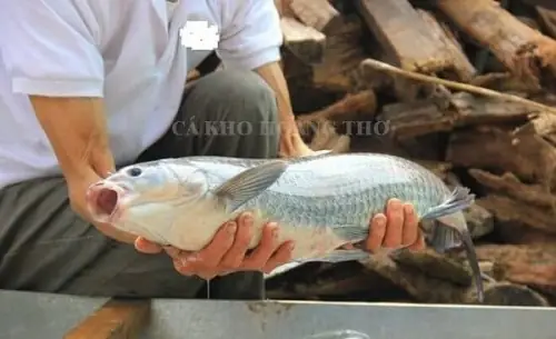 Cách Làm Cá Kho Làng Vũ Đại Chuẩn Vị: Tổng Hợp Bí Quyết Từ Người Dân Bản Địa