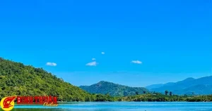 Cá Lìm Kìm Nước Ngọt: Kiến Thức Tổng Hợp Từ Nuôi Trồng Đến Ẩm Thực