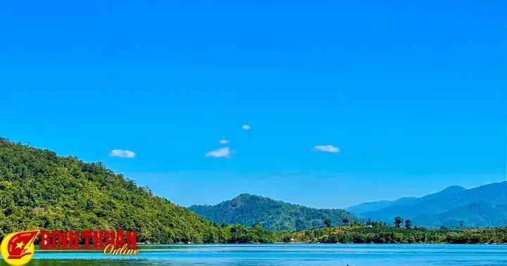 Cá Lìm Kìm Nước Ngọt: Kiến Thức Tổng Hợp Từ Nuôi Trồng Đến Ẩm Thực