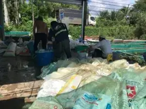 Giá Cá Nâu 1kg Mới Nhất: Bảng Giá Chi Tiết & Mẹo Mua Uy Tín