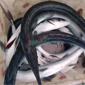 Giá Cá Xương Xanh 1kg: Top 5 Lựa Chọn Mua Uy Tín Nhất