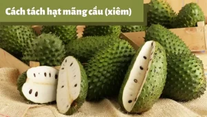 Cách Bỏ Hạt Mãng Cầu Nhanh