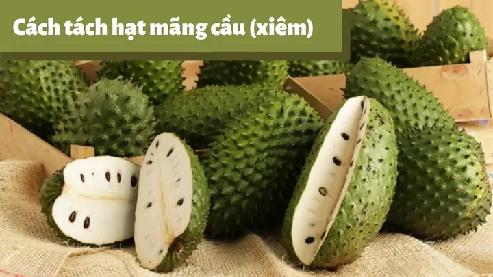 Cách Bỏ Hạt Mãng Cầu Nhanh