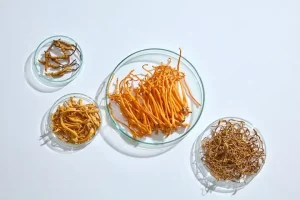 Hướng Dẫn Toàn Tập Cách Chế Biến Đông Trùng Hạ Thảo Tươi Đúng Cách