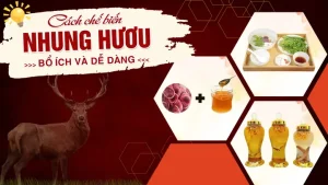 Cách Chế Biến Nhung Hươu Từ A Đến Z: 10 Công Thức Thực Hành