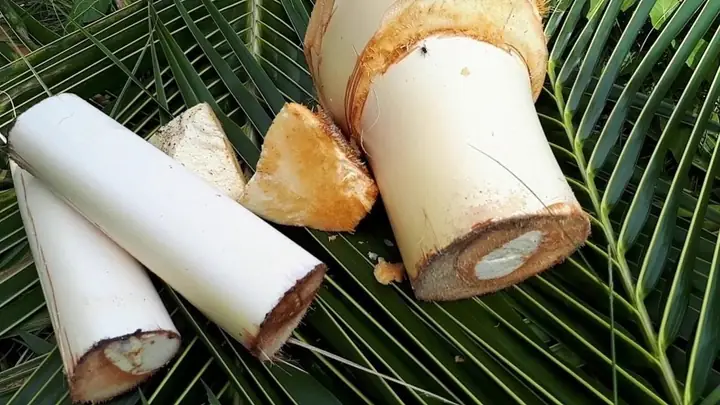 Cách Làm Củ Hủ Dừa Không Bị Đen: Bí Quyết Giữ Giòn Trắng Từ A Đến Z