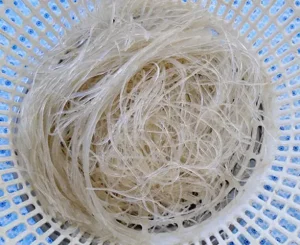 Cách Làm Miến Gà Trộn Đậm Chất Hà Nội