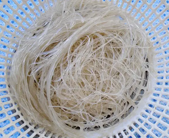 Cách Làm Miến Gà Trộn Đậm Chất Hà Nội