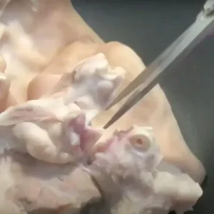 Cách Làm Phá Lấu Heo Chấm Bánh Mì Ngon Chuẩn Vị Nhà Làm