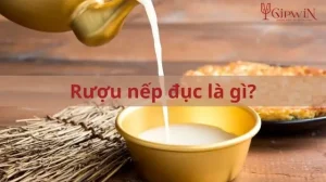 Cách Làm Rượu Nếp Vắt Tại Nhà: Hướng Dẫn Chi Tiết Từ A Đến Z