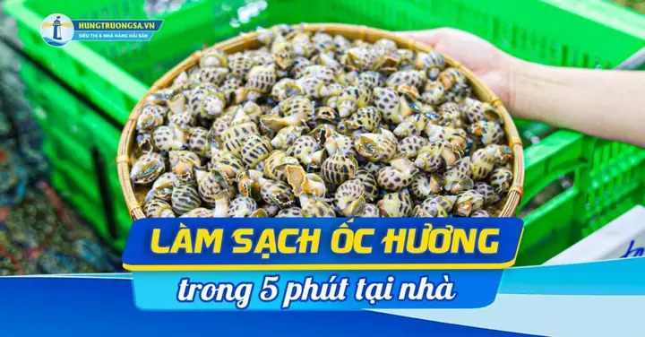 Cách Làm Sạch Ốc Hương Tại Nhà: 3 Phương Pháp Hiệu Quả