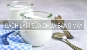 Cách Làm Sữa Chua Bằng Máy Đơn Giản Tại Nhà