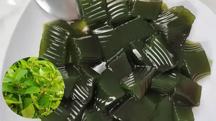 Cách Làm Sương Sáo Từ Lá Tươi Dẻo Dai, Thanh Mát Tại Nhà