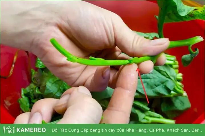 Cách Lặt Rau Mồng Tơi