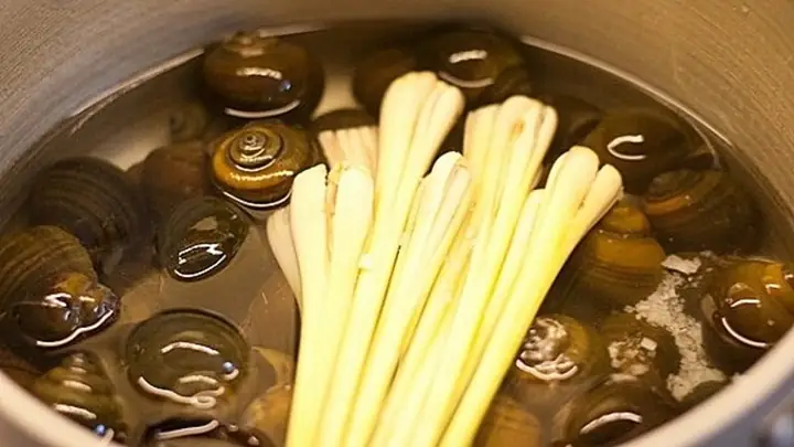 Cách Luộc Ốc Nhồi Ngon