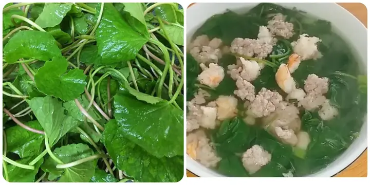 Cách Nấu Canh Rau Má Không Đắng: Bí Quyết Từ Chuyên Gia