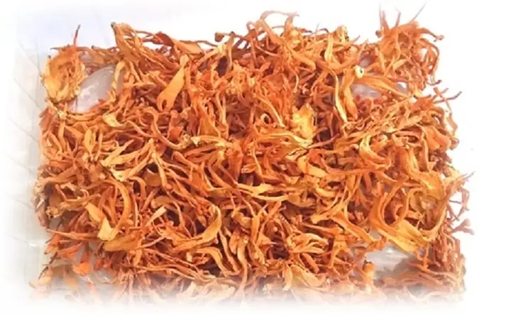 Cách Nấu Đông Trùng Hạ Thảo Khô