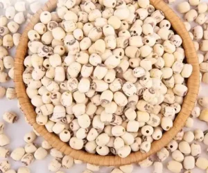 Cách Nấu Hạt Sen Khô Nhanh Mềm: Bí Quyết Từ Chuyên Gia