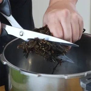 Cách Nấu Sương Sáo Từ Lá Khô