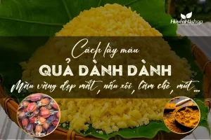 Hướng Dẫn Chi Tiết Cách Tạo Màu Vàng Từ Quả Dành Dành Cho Món Ăn