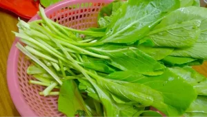 Hướng Dẫn Chi Tiết Cách Nhặt Rau Cải Ngọt Nhanh Chóng Và Vệ Sinh