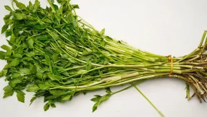 Cách Nhặt Rau Cần Tây Đúng Cách, Thơm Ngon Và Sạch Sẽ