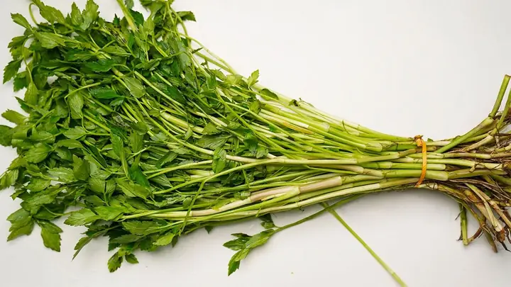 Cách Nhặt Rau Cần Tây Đúng Cách, Thơm Ngon Và Sạch Sẽ