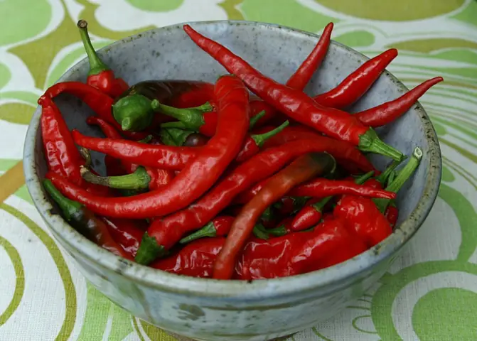 Cách Sơ Chế Măng Tươi Không Đắng, Giòn Ngon Từ A-z