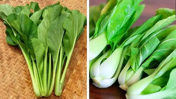 Cải Thìa Và Cải Chíp
