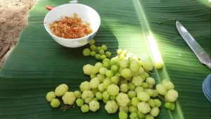 Chùm Ruột Là Quả Gì? Tổng Tất Tần Tật Về Loại Trái Cây "gây Nghiện" Này