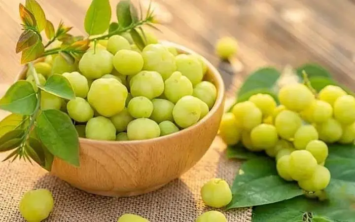 Chùm Ruột Ngâm Đường Phèn Trị Bệnh Gì