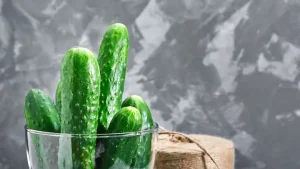 Dưa Chuột Bao Tử Là Gì? Tổng Tập Đặc Điểm, Dinh Dưỡng Và Bảo Quản