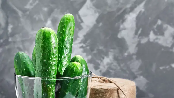 Dưa Chuột Bao Tử Là Gì? Tổng Tập Đặc Điểm, Dinh Dưỡng Và Bảo Quản