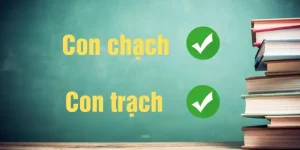 Con Chạch Hay Con Trạch: Từ Đúng Chính Tả Và Ý Nghĩa Trong Ẩm Thực
