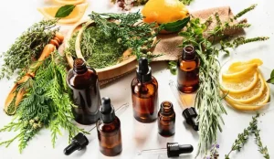 Công Thức Làm Chả Lụa Truyền Thống Tại Nhà Đơn Giản, Thơm Ngon