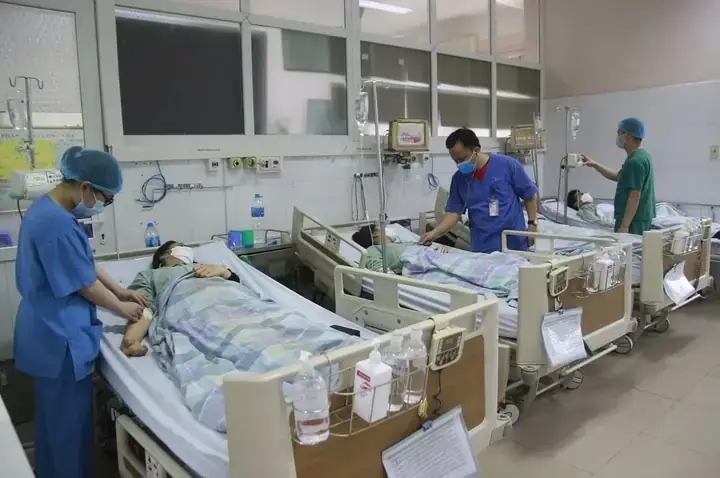 Củ Nần Là Gì? Khám Phá Đặc Điểm, Công Dụng Và Cách Chế Biến