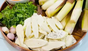 Củ Niễng Là Gì? Tổng Hợp Mọi Thông Tin Và Món Ăn Từ Củ Niễng