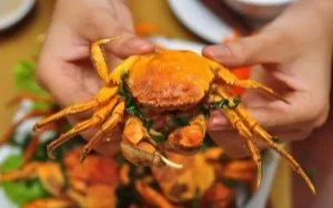 Cua Cà Ra Thái Bình: Đặc Sản Sông Nước Độc Nhất Vành Đai