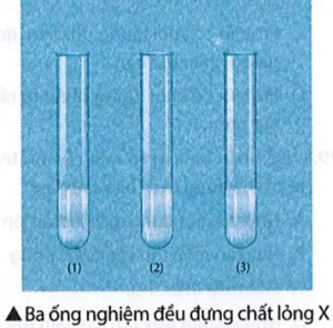 Đậu Hũ Làm Từ Gì? Toàn Bộ Quy Trình Từ Hạt Đậu Nành