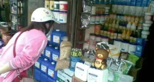 Đường Hoa Mai Là Gì? Tổng Hợp Từ Đặc Điểm Đến Công Dụng