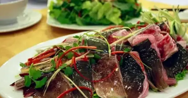 Gan Cá Đuối Có Ăn Được Không? Lời Khuyên Từ Chuyên Gia