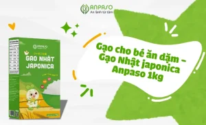 Gạo Ăn Dặm Cho Bé: Hướng Dẫn Toàn Tập Từ A Đến Z