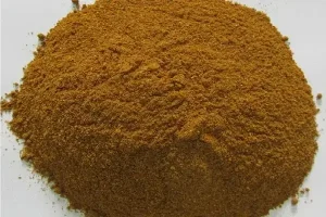 Hình Ảnh Cây Húng Lìu: Bí Quyết Nhận Diện & Ứng Dụng Tối Ưu Trong Bếp