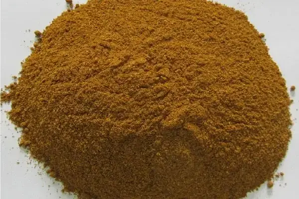 Hình Ảnh Cây Húng Lìu: Bí Quyết Nhận Diện & Ứng Dụng Tối Ưu Trong Bếp Hình Ảnh Cây Húng Lìu: Bí Quyết Nhận Diện & Ứng Dụng Tối Ưu Trong Bếp